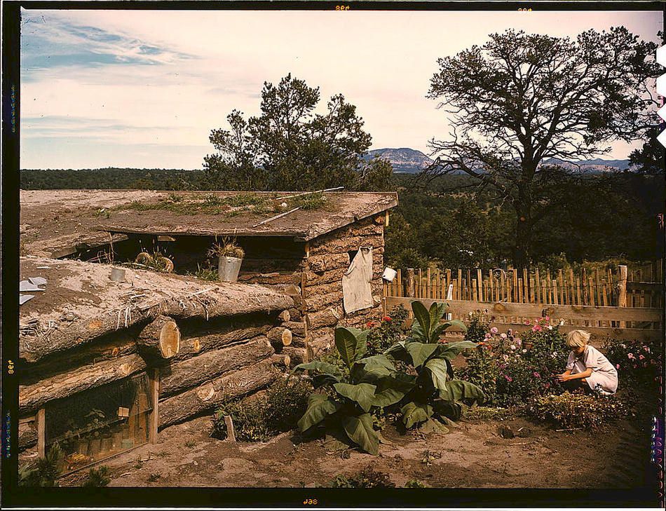 Whinery
              dugout garden